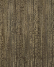 Images Shw3000-0297_6.jpg